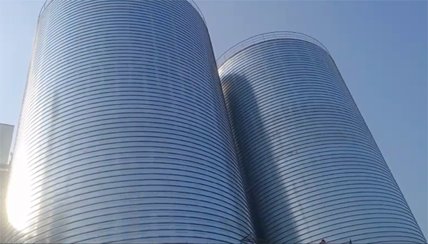 兴宁2座混凝土高架卷板仓